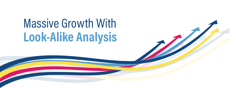 Massive Business Growth with Look-Alike Analysis